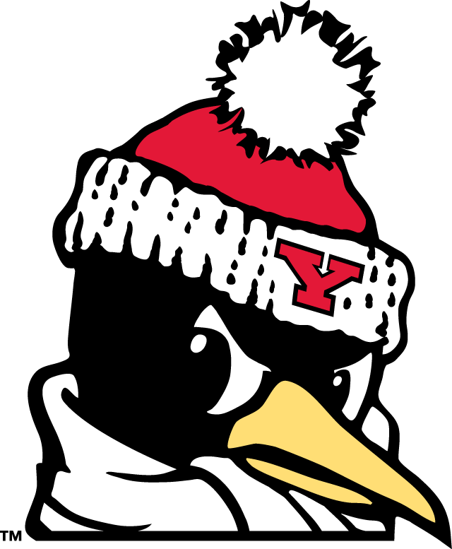 Youngstown State Penguins 1993-Pres Alternate Logo v9 diy fabric transfer